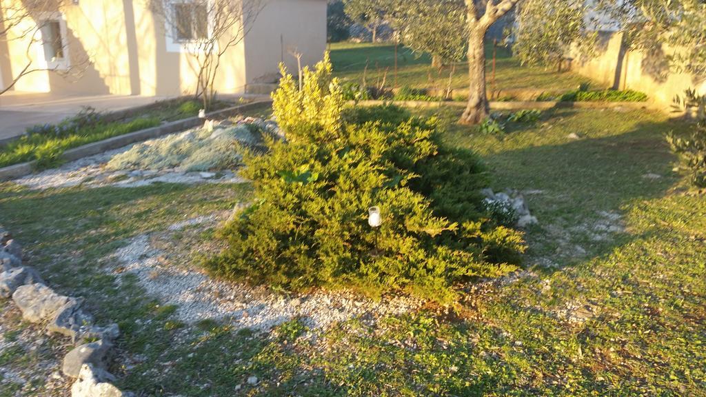 Apartment Nika Šibenik Buitenkant foto